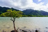 A7R02480.jpg