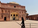 IMG_2449_165017.jpeg