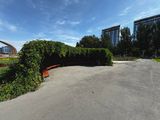 *IMG_4161.jpg
