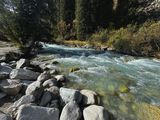 *IMG_4451.jpg