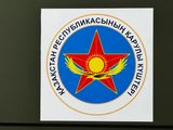 *IMG_4544.jpg