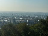 *IMG_4652.jpg