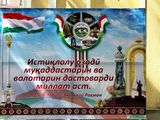 *IMG_4723.jpg