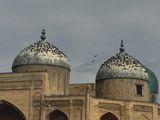 *IMG_5037.jpg