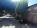 *IMG_5735.jpg
