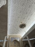 *IMG_6559.jpg