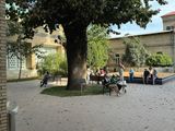 *IMG_7060.jpg