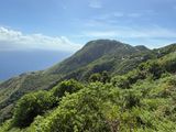 *IMG_0532.jpg