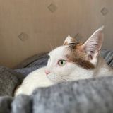 IMG_3079.jpg