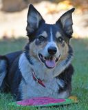 DSC_1627.jpg