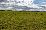 052A5747-HDR.jpg