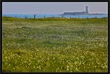 Springtime in the Archipelago.