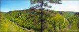 Spring Canyon panorama at Colton Point State Park