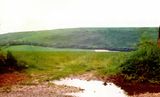 Watership Down