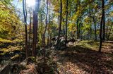 Armstrong Preserve 2