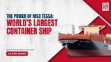  The Power of MSC Tessa: Worlds Largest Container Ship