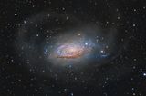 M 63, the Sunflower Galaxy