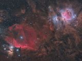Orion and Horsehead Nebula