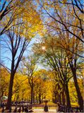 IMG_20221103_132356_1.jpg