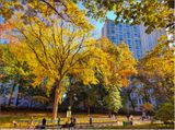 IMG_20221103_133314_1.jpg