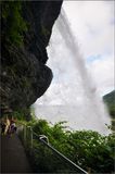 DSC_4398_1.jpg