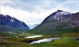 DSC_2981_1.jpg