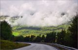 DSC_3721_1.jpg