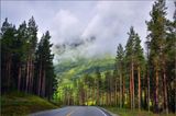 DSC_3728_1.jpg