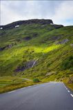 DSC_3779_1.jpg