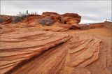 IMG_20230218_081217_1.jpg
