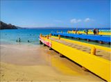 IMG_20230409_093240_1.jpg
