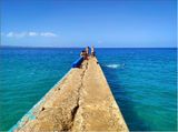 IMG_20230409_093631_1.jpg