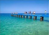 IMG_20230409_093908_1.jpg
