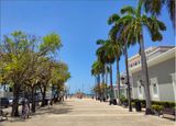 IMG_20230411_120502_1.jpg