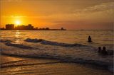 DSC_7929_1.jpg