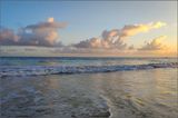 IMG_20230412_062616_1.jpg