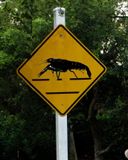 Crayfish crossing 