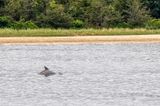 _MG_87319.jpg