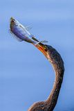 _MG_16504.jpg
