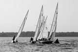 _MG_0800-DeNoiseAI-clear.jpg