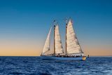 _MG_1001-DeNoiseAI-clear.jpg