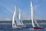 _MG_36990-DeNoiseAI-clear.jpg