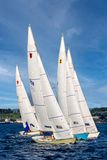 _MG_37485-DeNoiseAI-clear.jpg