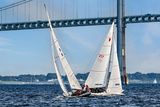 _MG_37623-DeNoiseAI-clear.jpg
