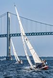 _MG_37643-DeNoiseAI-clear.jpg