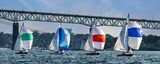 _MG_37827-DeNoiseAI-clear.jpg