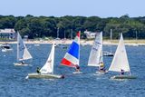 _MG_41255.jpg