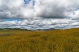 20230418-_DSC4104_DxO1-2.jpg