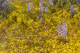 20230418-_DSC4099-topaz-2.jpg