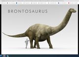 co2bronto.jpg